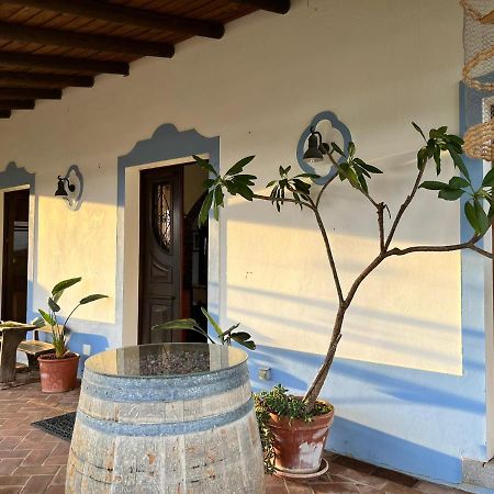 Vila Verde de FicalhoAproveite O Sabor Do Alentejo别墅 外观 照片
