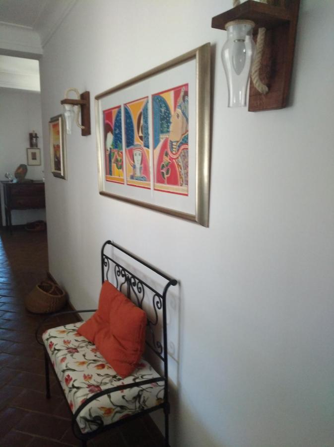 Vila Verde de FicalhoAproveite O Sabor Do Alentejo别墅 外观 照片