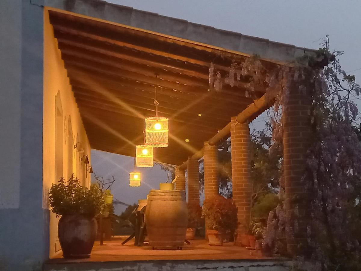 Vila Verde de FicalhoAproveite O Sabor Do Alentejo别墅 外观 照片