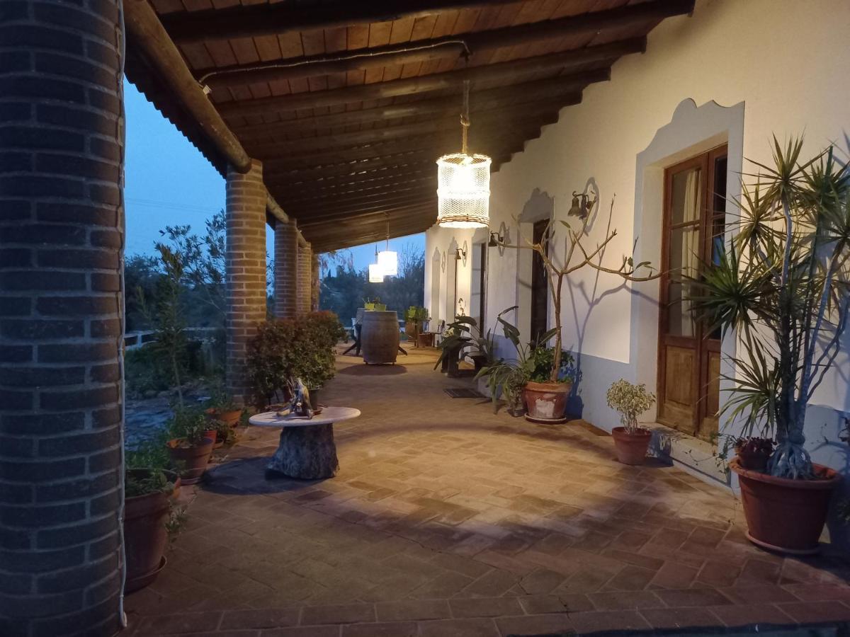Vila Verde de FicalhoAproveite O Sabor Do Alentejo别墅 外观 照片