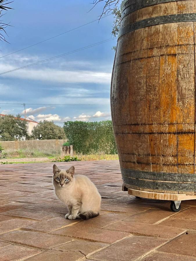 Vila Verde de FicalhoAproveite O Sabor Do Alentejo别墅 外观 照片